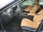2024 LEXUS ES 300H