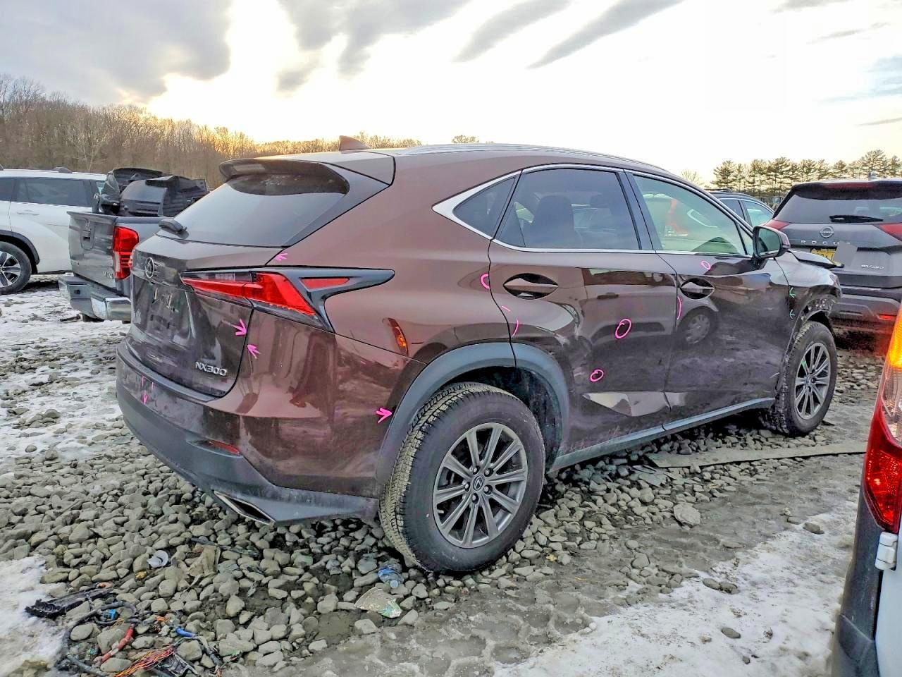 2019 LEXUS NX 300