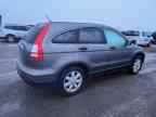 2009 HONDA CR-V