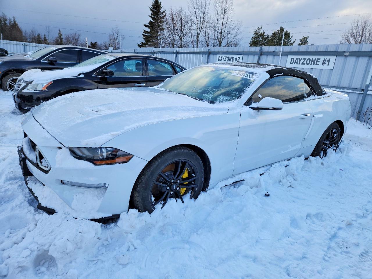 2019 FORD MUSTANG