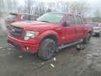2013 FORD F-150 Lightning