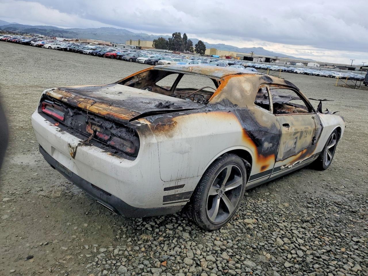 2019 DODGE Challenger