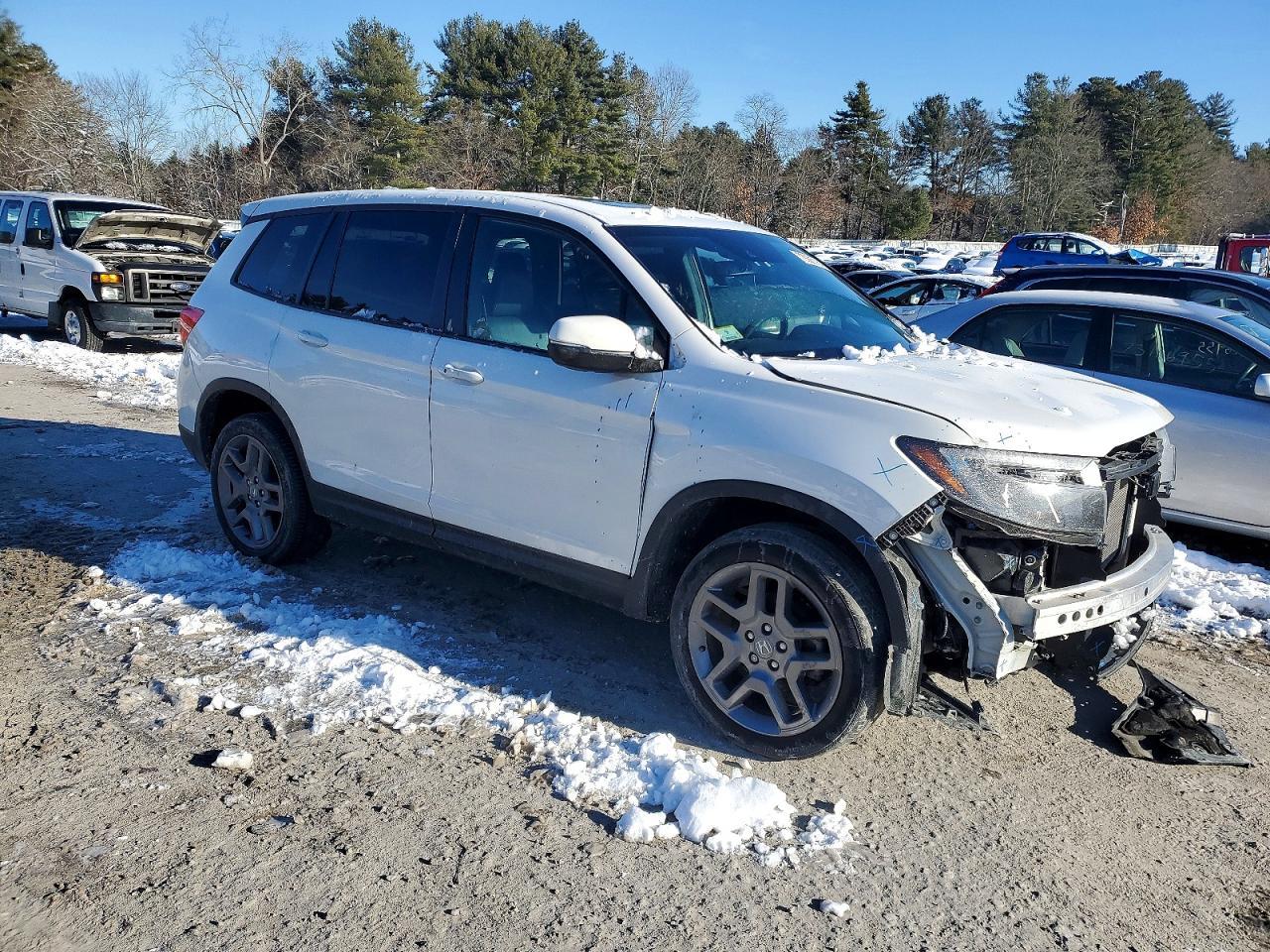 2023 HONDA Passport