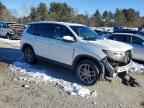 2023 HONDA Passport