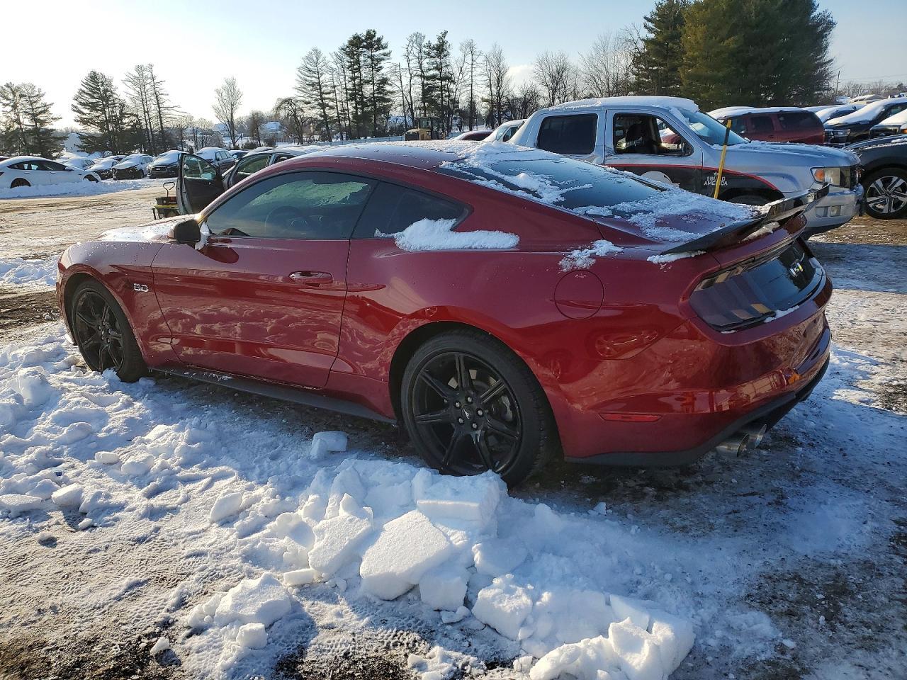 2019 FORD MUSTANG