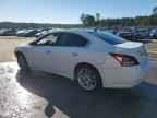 2010 NISSAN Maxima