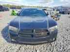 2014 DODGE CHARGER