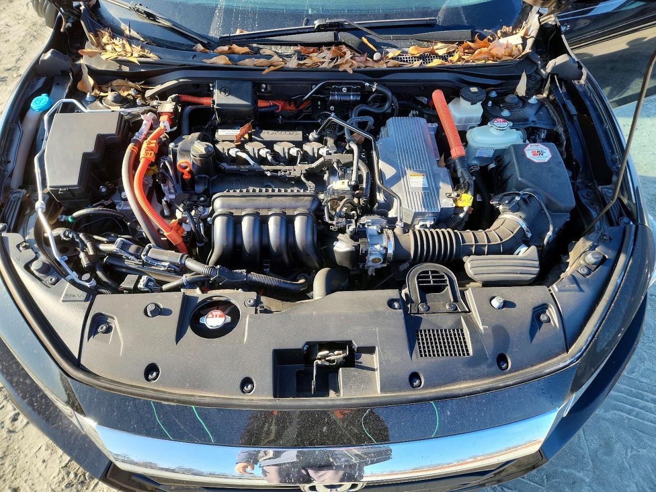 2019 HONDA Insight