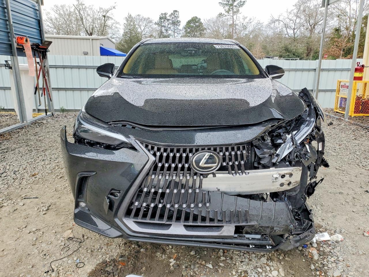 2026 LEXUS NX 350