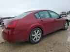 2004 NISSAN Maxima