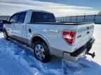 2009 FORD F-150 Lightning
