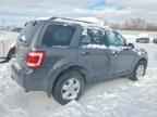 2009 FORD ESCAPE