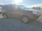 2014 HONDA PILOT