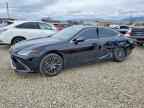 2024 LEXUS ES 300H