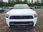 2025 TOYOTA 4Runner