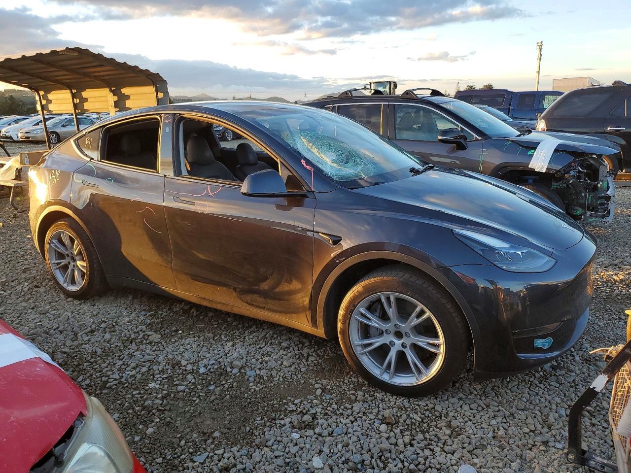 2024 TESLA MODEL Y