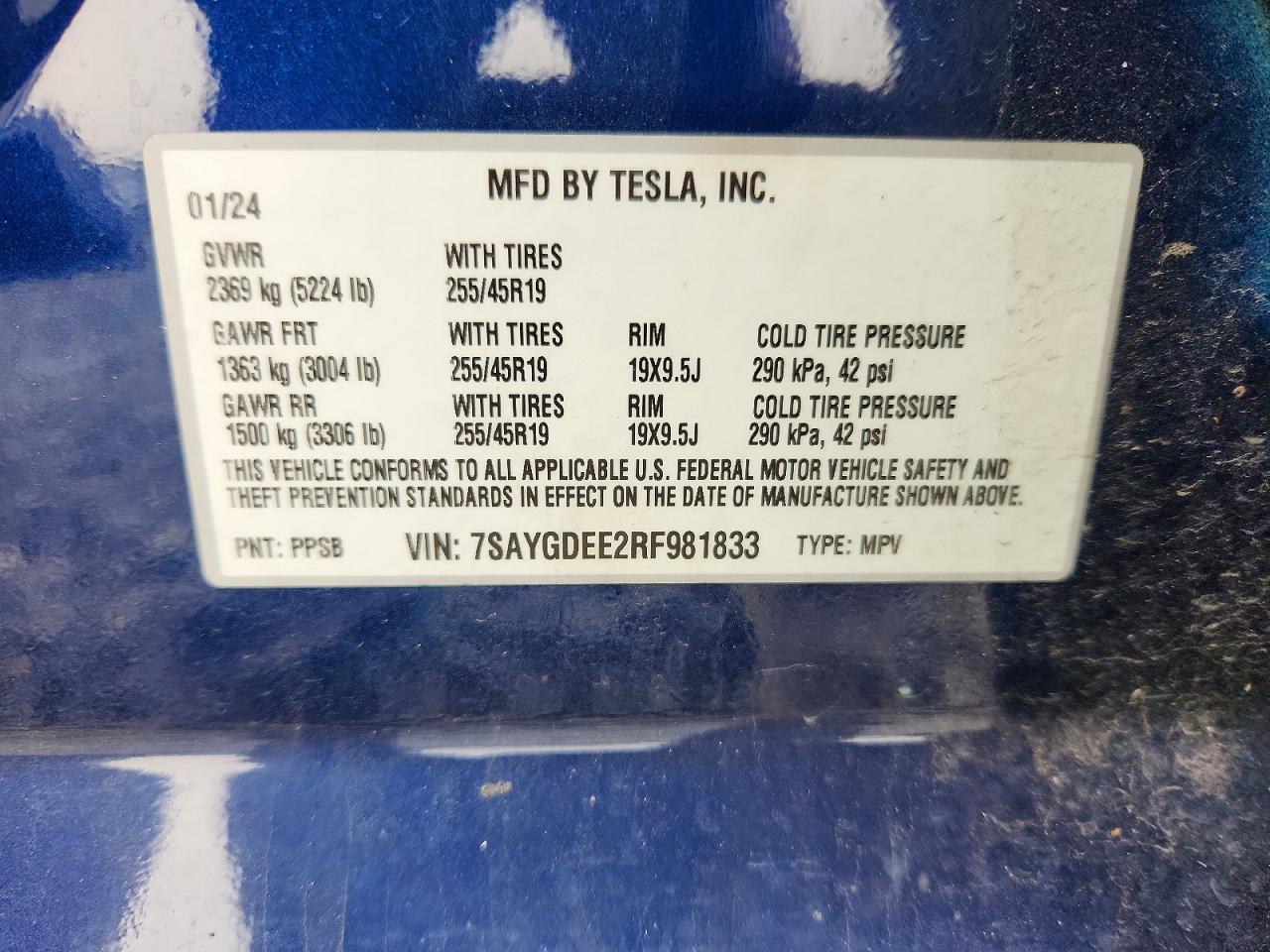 2024 TESLA MODEL Y