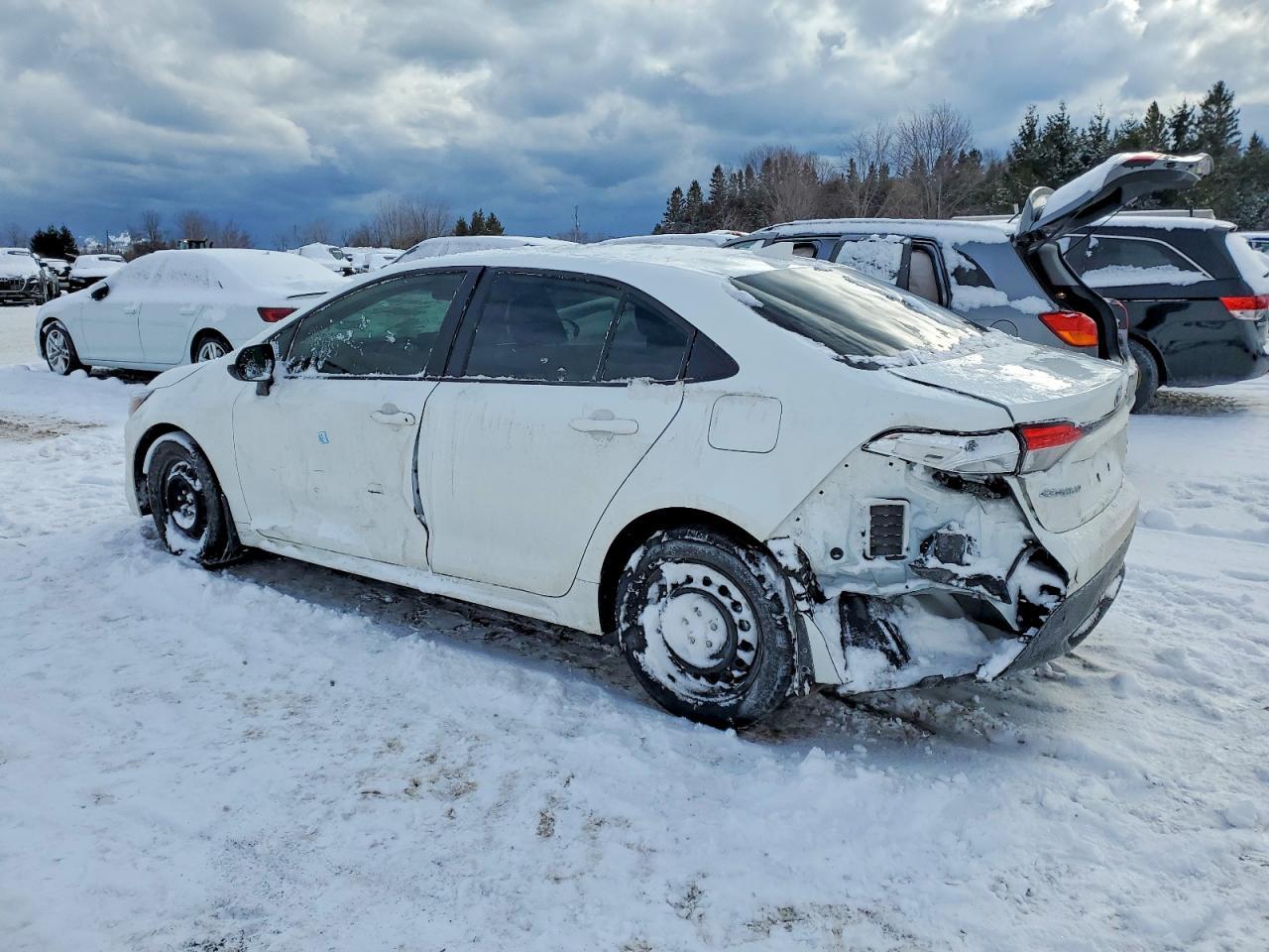 2025 TOYOTA COROLLA