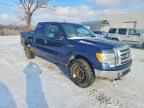 2010 FORD F-150 Lightning