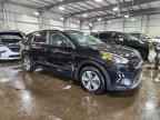 2021 KIA Niro