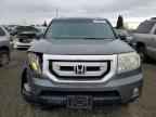 2009 HONDA PILOT
