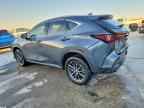 2024 LEXUS NX 250