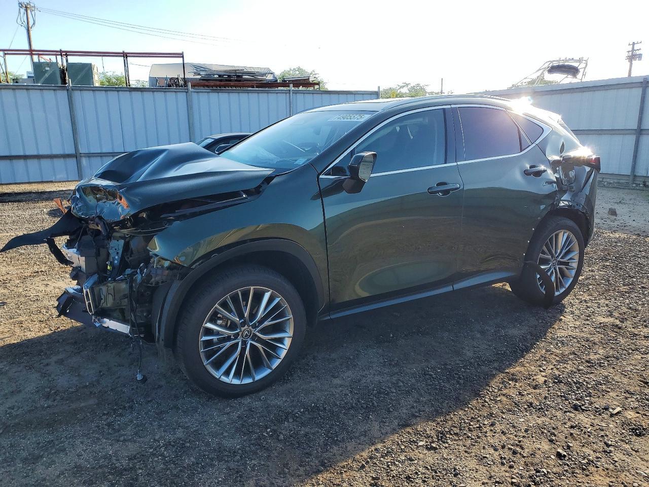 2025 LEXUS NX 350H