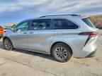2024 TOYOTA SIENNA