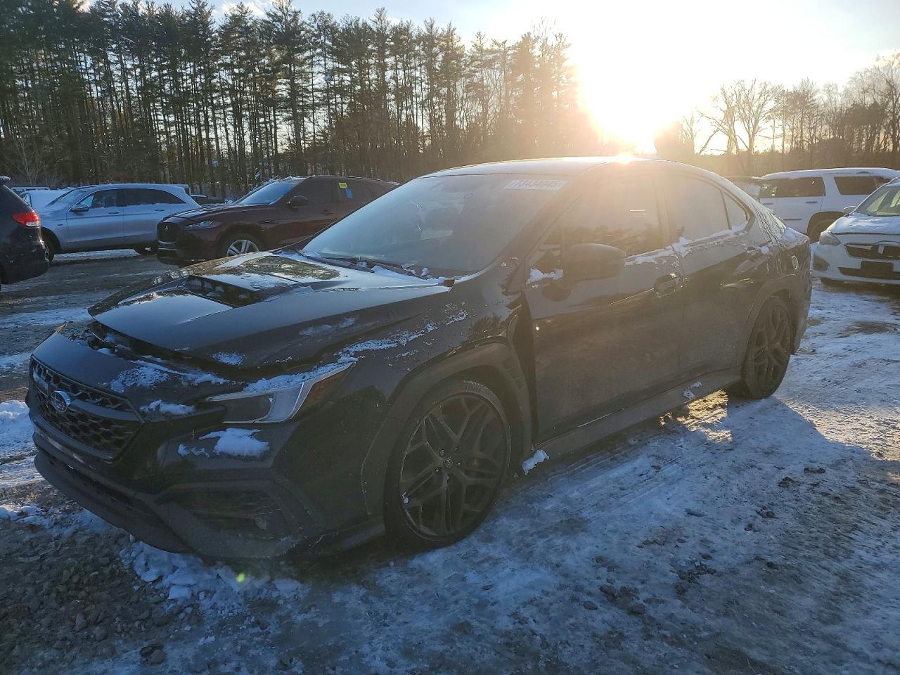 2024 SUBARU WRX