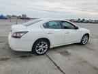 2014 NISSAN Maxima