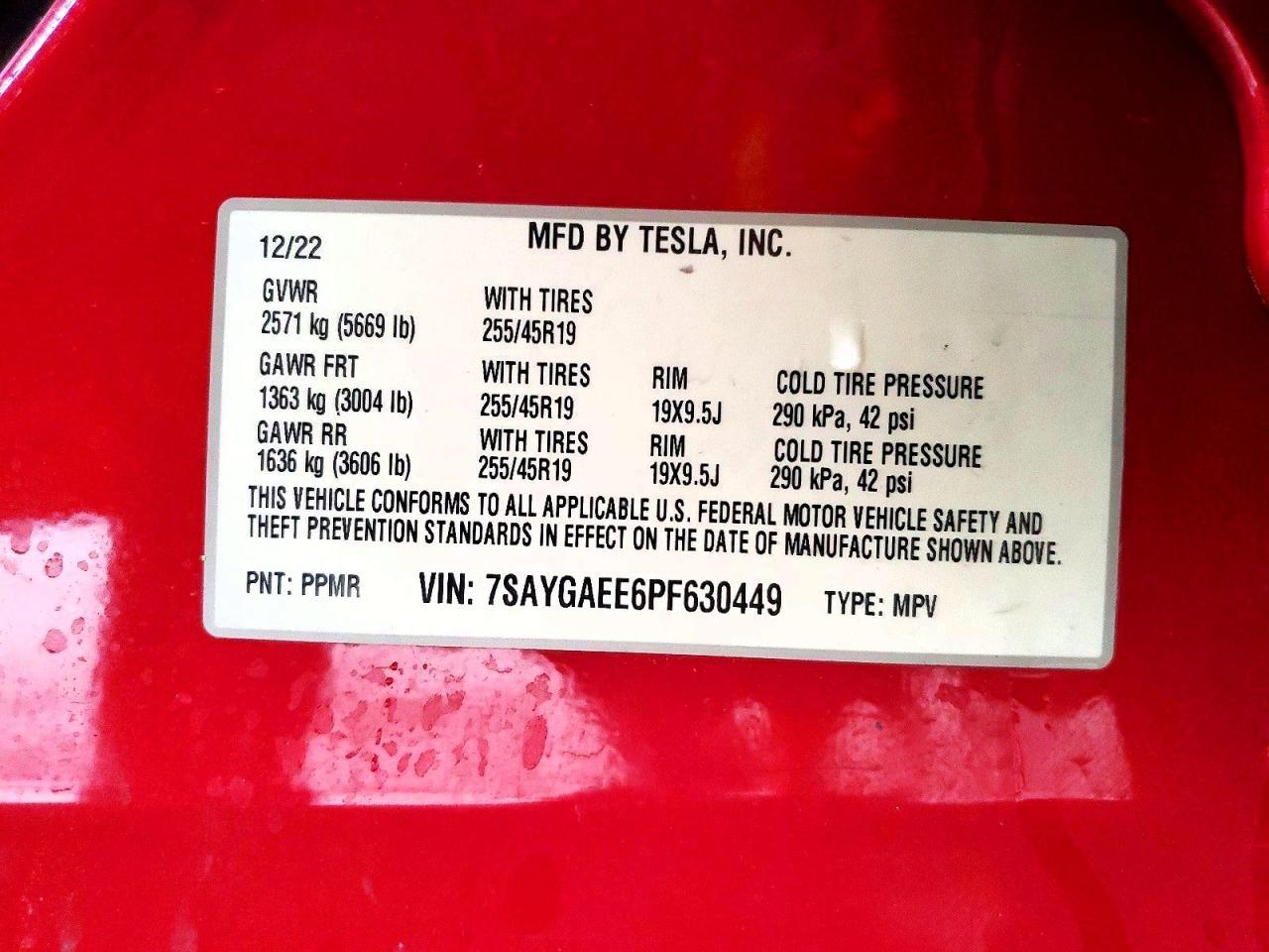 2023 TESLA MODEL Y