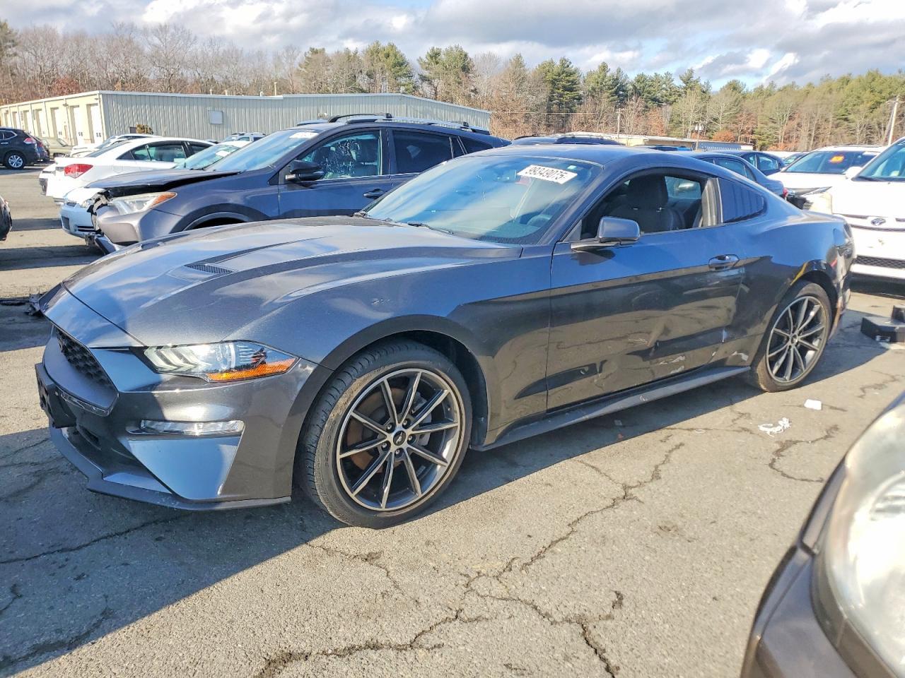 2019 FORD MUSTANG
