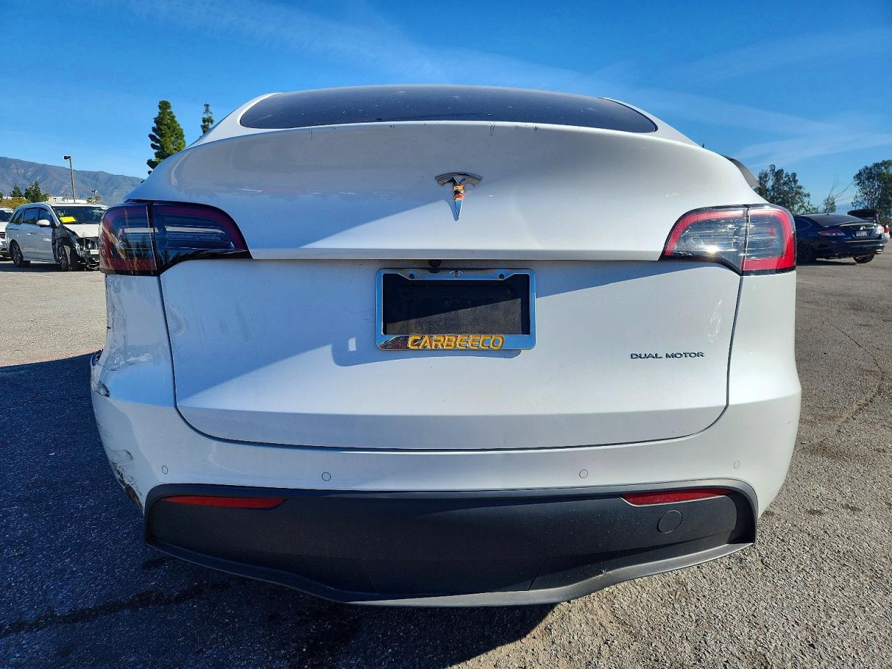 2021 TESLA MODEL Y