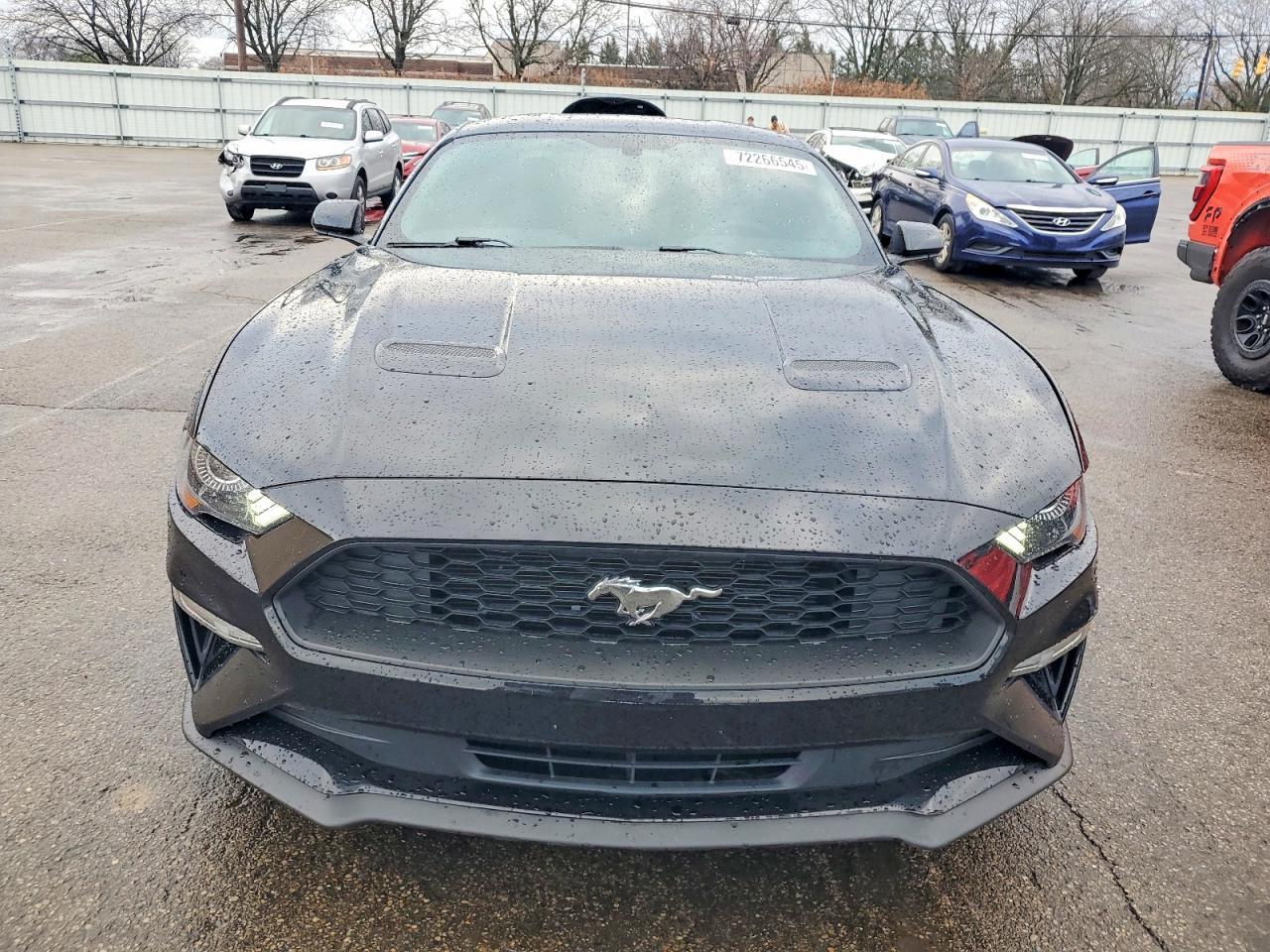 2019 FORD MUSTANG