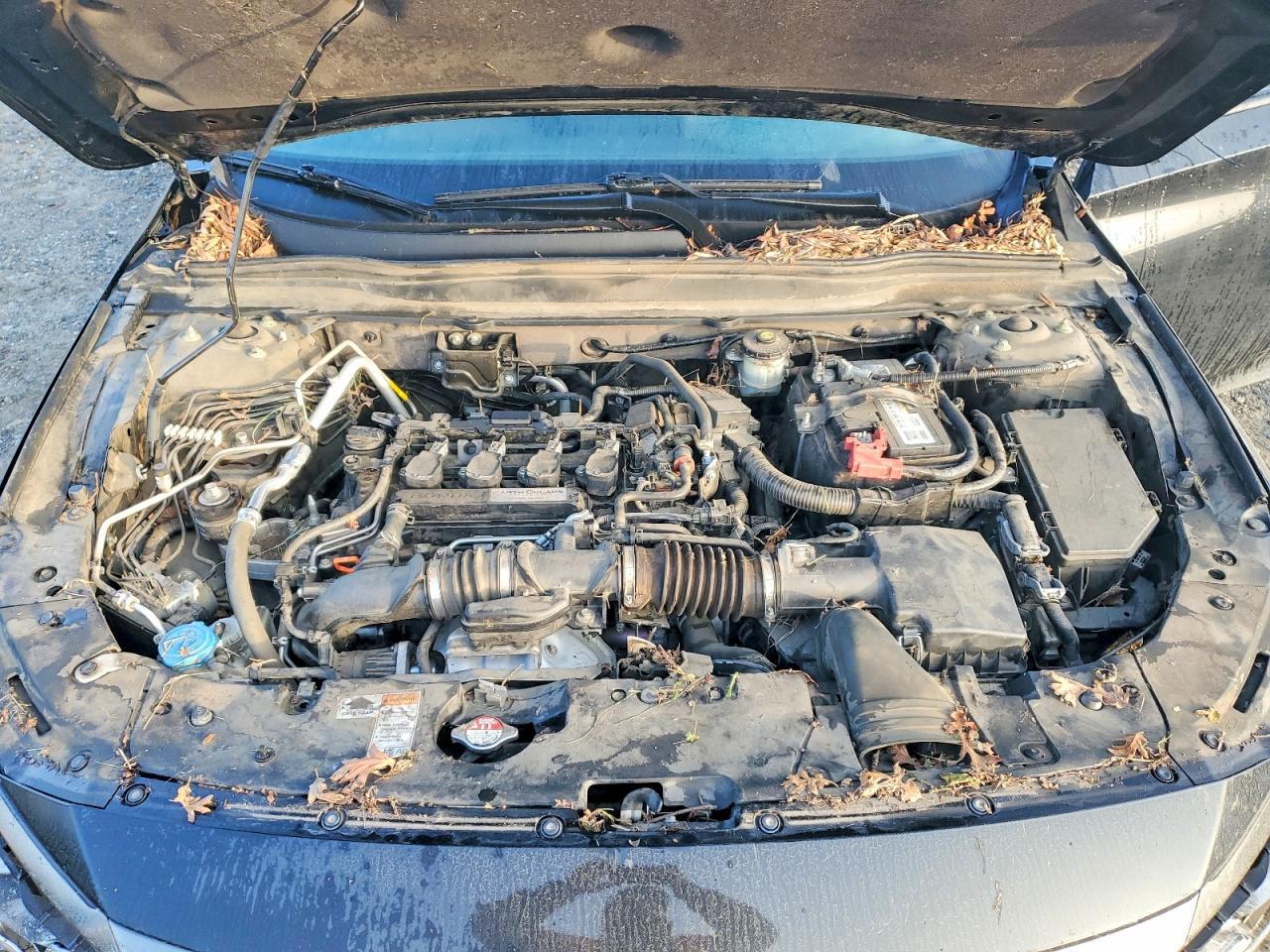 2019 HONDA ACCORD