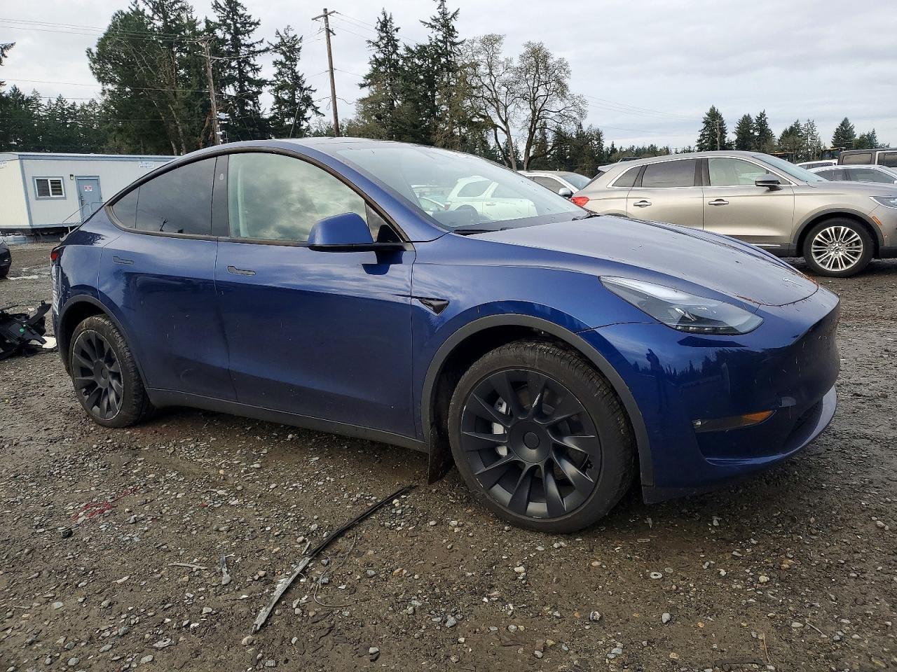 2024 TESLA MODEL Y