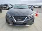 2022 NISSAN Maxima
