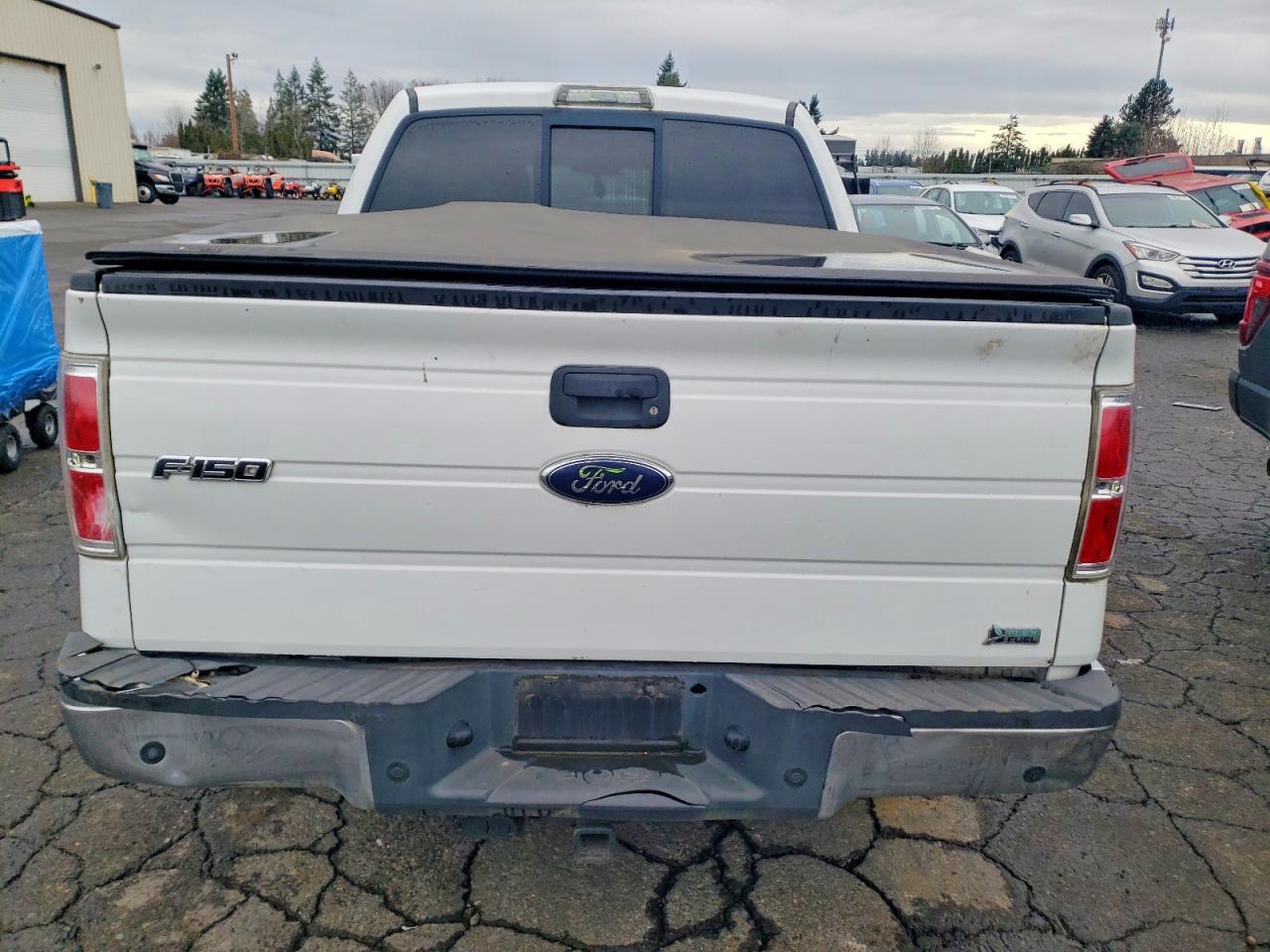 2010 FORD F-150 Lightning