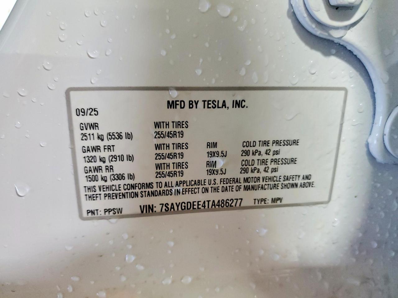 2026 TESLA MODEL Y