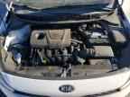 2019 KIA RIO