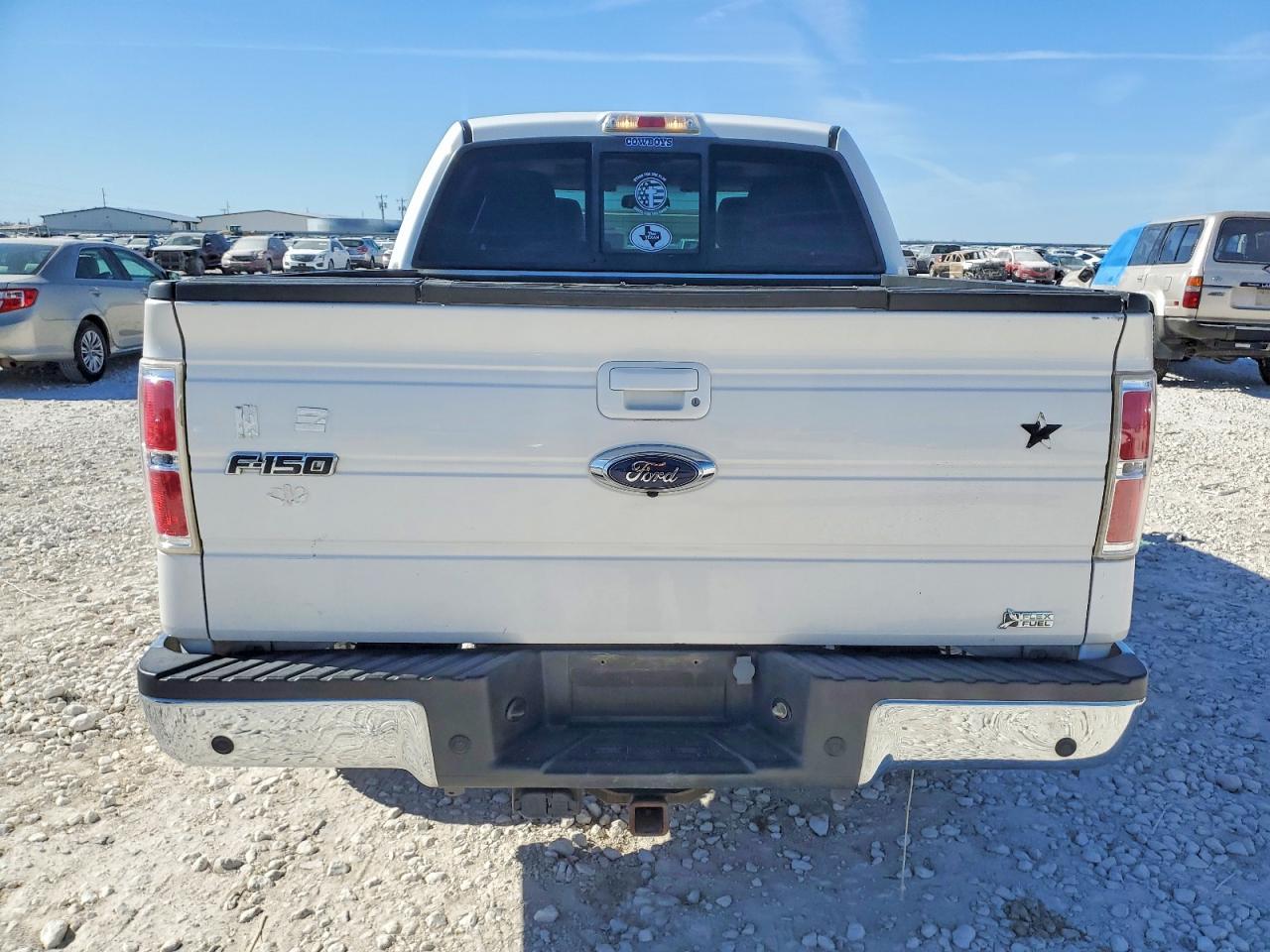 2010 FORD F-150