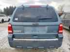 2010 FORD ESCAPE