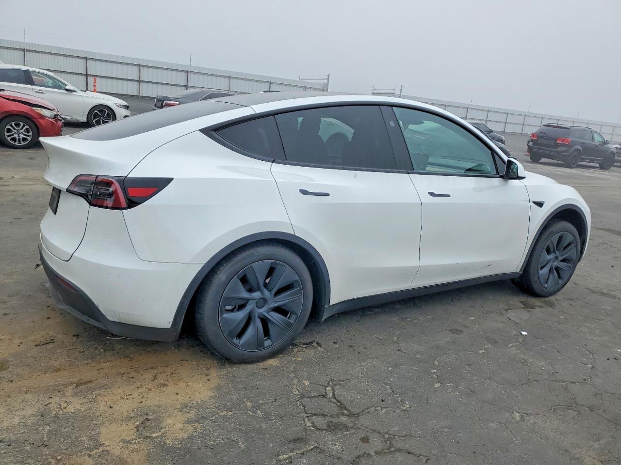 2025 TESLA MODEL Y