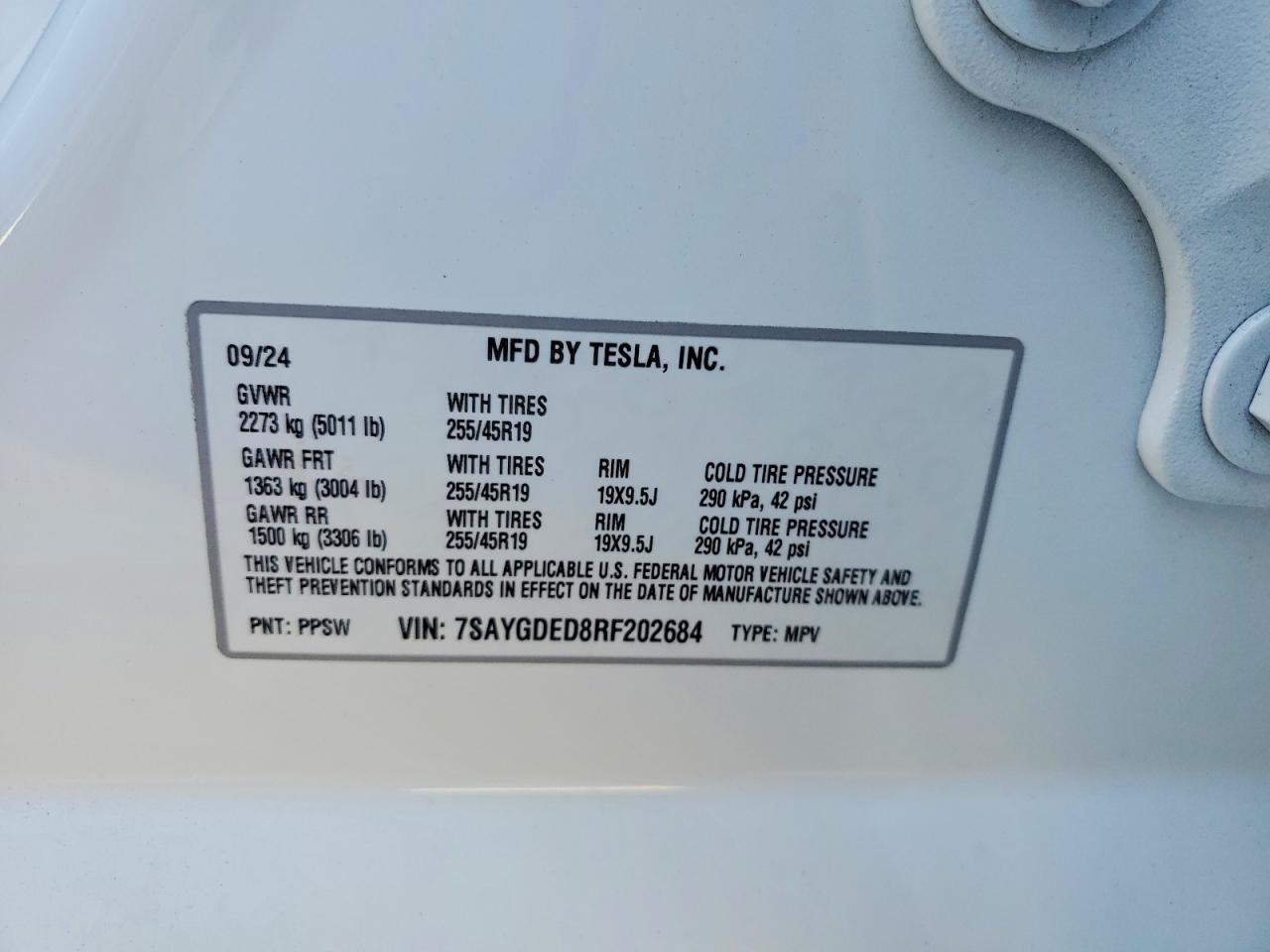 2024 TESLA MODEL Y