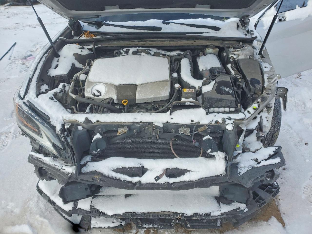 2019 LEXUS ES 350