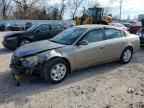 2005 NISSAN ALTIMA