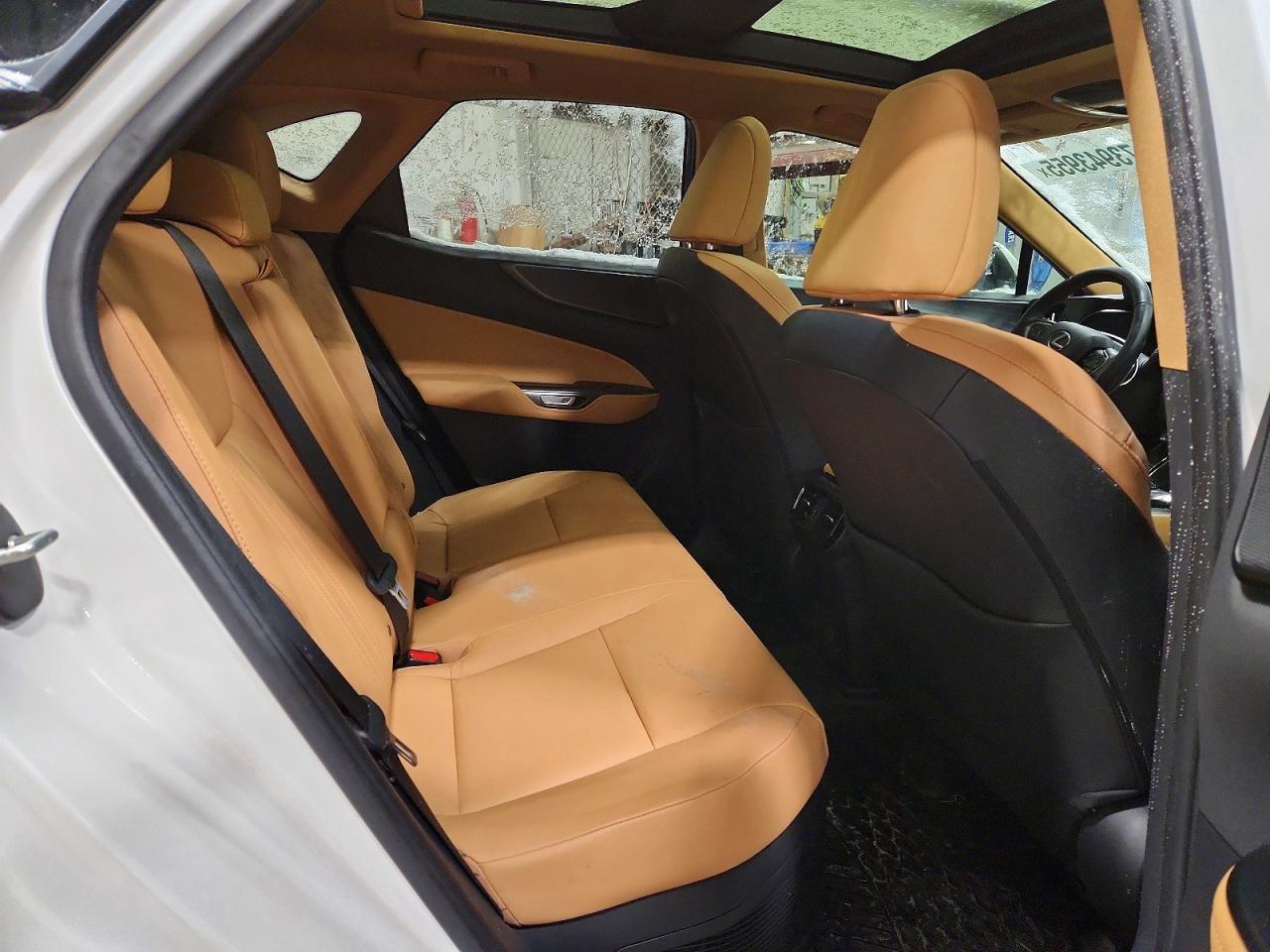 2024 LEXUS NX 350H