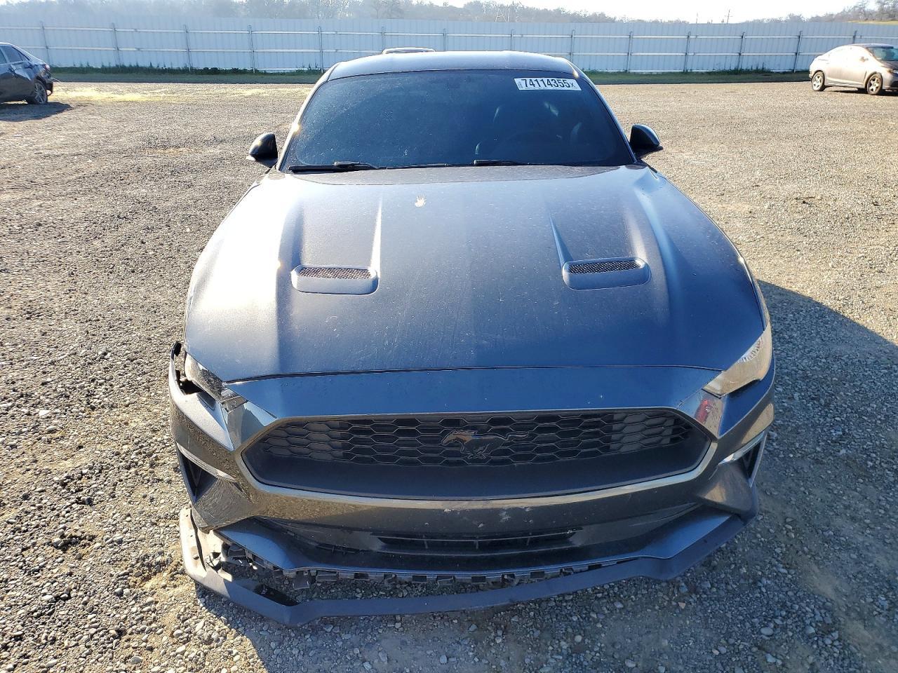 2019 FORD MUSTANG