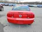 2009 FORD MUSTANG