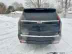 2023 CADILLAC Escalade ESV
